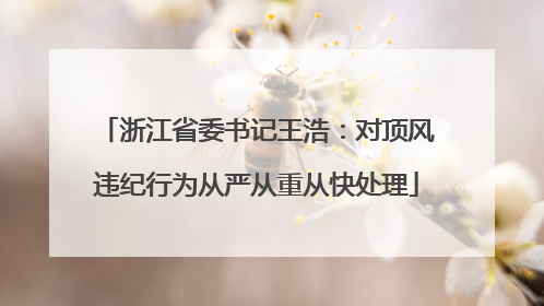 浙江省委书记王浩：对顶风违纪行为从严从重从快处理