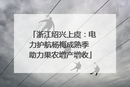 浙江绍兴上虞：电力护航杨梅成熟季 助力果农增产增收