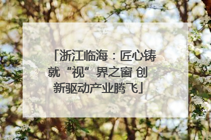 浙江临海：匠心铸就“视”界之窗 创新驱动产业腾飞