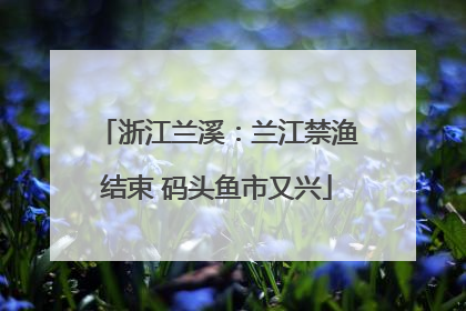 浙江兰溪：兰江禁渔结束 码头鱼市又兴