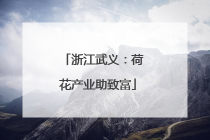 浙江武义：荷花产业助致富