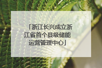 浙江长兴成立浙江省首个县级储能运营管理中心
