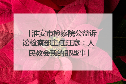 淮安市检察院公益诉讼检察部主任汪彦：人民教会我的那些事