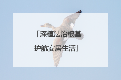 深植法治根基 护航安居生活