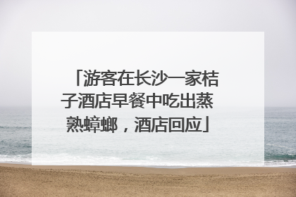 游客在长沙一家桔子酒店早餐中吃出蒸熟蟑螂，酒店回应