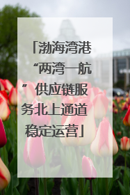 渤海湾港“两湾一航”供应链服务北上通道稳定运营