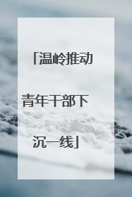 温岭推动青年干部下沉一线