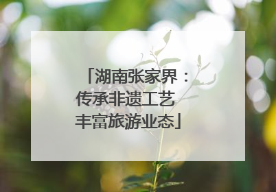 湖南张家界：传承非遗工艺 丰富旅游业态