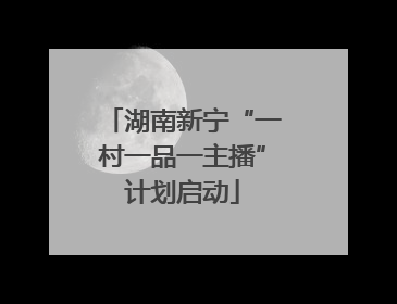 湖南新宁“一村一品一主播”计划启动