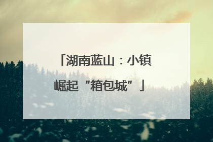 湖南蓝山：小镇崛起“箱包城”