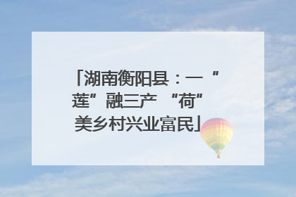 湖南衡阳县：一“莲”融三产 “荷”美乡村兴业富民