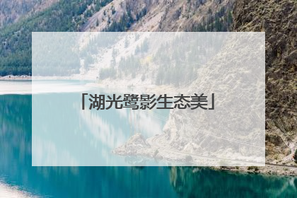 湖光鹭影生态美