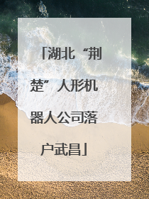 湖北“荆楚”人形机器人公司落户武昌