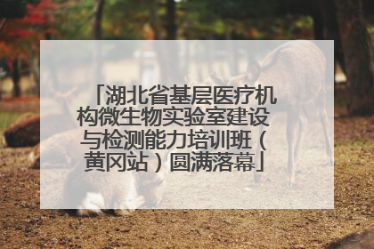 湖北省基层医疗机构微生物实验室建设与检测能力培训班（黄冈站）圆满落幕