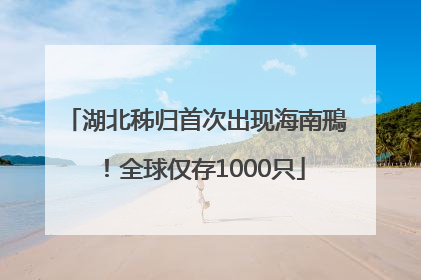 湖北秭归首次出现海南鳽！全球仅存1000只