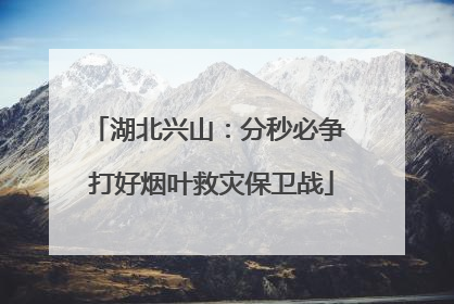 湖北兴山：分秒必争 打好烟叶救灾保卫战