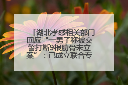 湖北孝感相关部门回应“一男子称被交警打断9根肋骨未立案”：已成立联合专班开展工作
