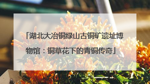 湖北大冶铜绿山古铜矿遗址博物馆：铜草花下的青铜传奇