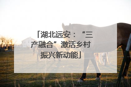 湖北远安：“三产融合”激活乡村振兴新动能
