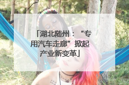 湖北随州：“专用汽车走廊”掀起产业新变革