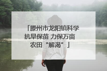 滕州市龙阳镇科学抗旱保苗 力保万亩农田“解渴”