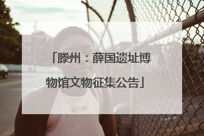 滕州：薛国遗址博物馆文物征集公告