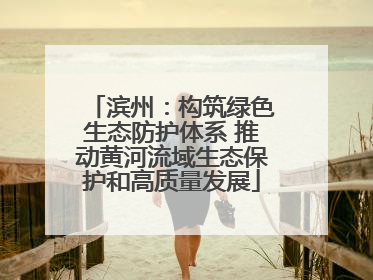 滨州：构筑绿色生态防护体系 推动黄河流域生态保护和高质量发展