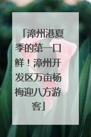 漳州港夏季的第一口鲜！漳州开发区万亩杨梅迎八方游客