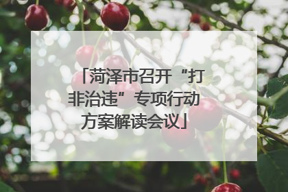 菏泽市召开“打非治违”专项行动方案解读会议