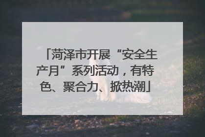 菏泽市开展“安全生产月”系列活动，有特色、聚合力、掀热潮