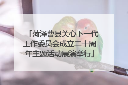 菏泽曹县关心下一代工作委员会成立二十周年主题活动展演举行