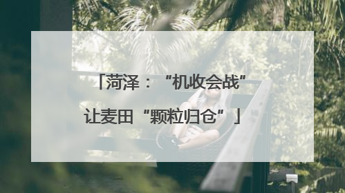菏泽：“机收会战”让麦田“颗粒归仓”