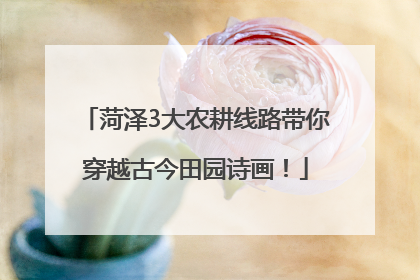 菏泽3大农耕线路带你穿越古今田园诗画！