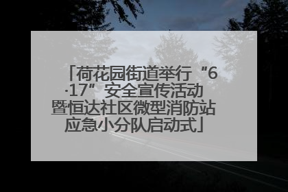 荷花园街道举行“6·17”安全宣传活动暨恒达社区微型消防站应急小分队启动式