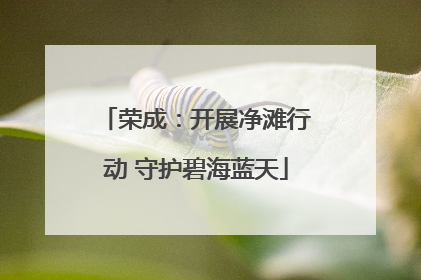 荣成：开展净滩行动 守护碧海蓝天