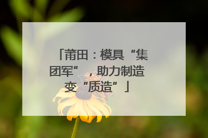 莆田：模具“集团军”，助力制造变“质造”