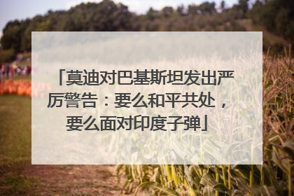 莫迪对巴基斯坦发出严厉警告：要么和平共处，要么面对印度子弹