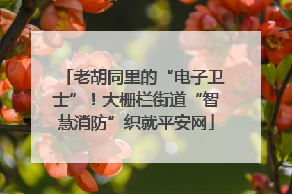 老胡同里的“电子卫士”！大栅栏街道“智慧消防”织就平安网