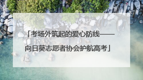 考场外筑起的爱心防线——向日葵志愿者协会护航高考