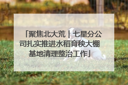 聚焦北大荒｜七星分公司扎实推进水稻育秧大棚基地清理整治工作