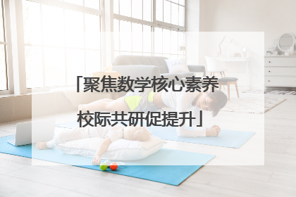 聚焦数学核心素养 校际共研促提升