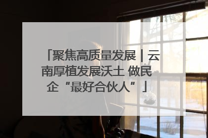 聚焦高质量发展｜云南厚植发展沃土 做民企“最好合伙人”