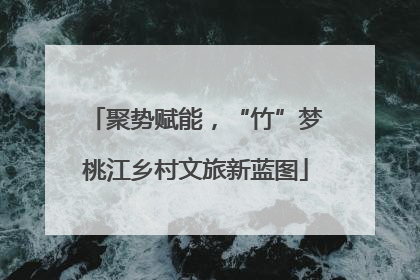 聚势赋能，“竹”梦桃江乡村文旅新蓝图