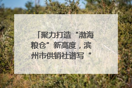 聚力打造“渤海粮仓”新高度，滨州市供销社谱写“三夏”丰收乐章