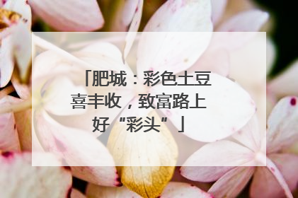 肥城：彩色土豆喜丰收，致富路上好“彩头”