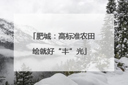 肥城：高标准农田绘就好“丰”光