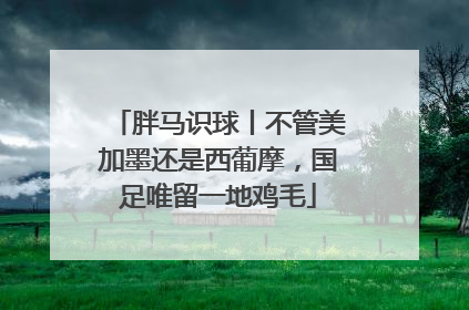 胖马识球丨不管美加墨还是西葡摩，国足唯留一地鸡毛