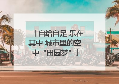 自给自足 乐在其中 城市里的空中“田园梦”