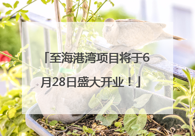 至海港湾项目将于6月28日盛大开业！