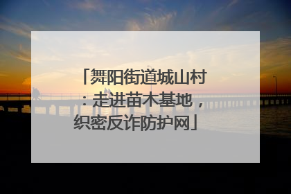 舞阳街道城山村：走进苗木基地，织密反诈防护网
